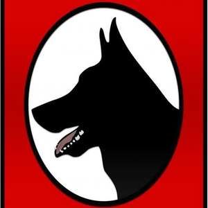 Meet your Posher, Wade